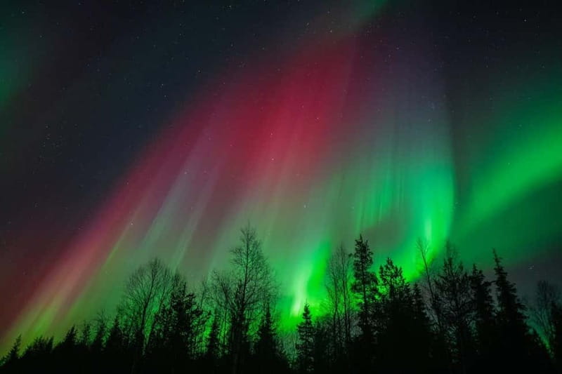 Överkalix - Lapland : Snowmobile Tour with Northern Lights - Marshmallow Grilling and Fika in the Wilderness