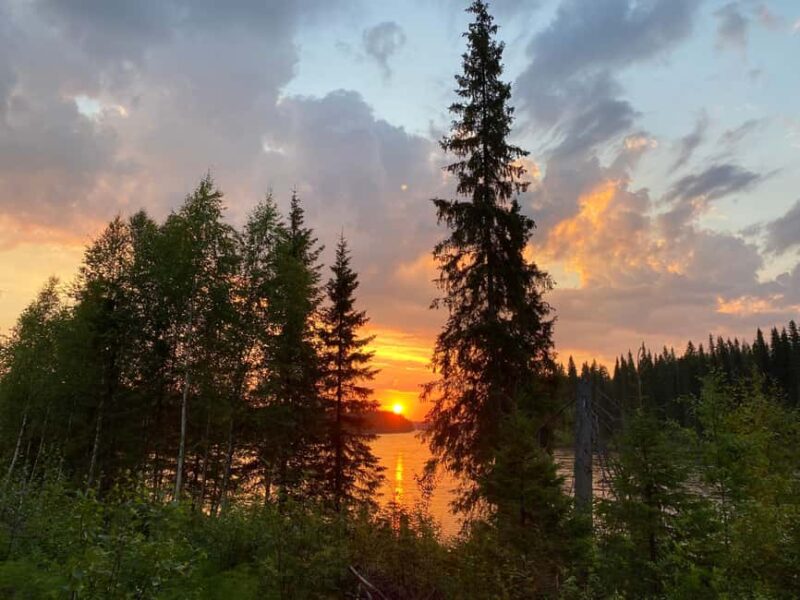 Överkalix - Lapland : Summer Hike and Midnight Sun Dinner - What You Can Expect During the Summer Wilderness Walk