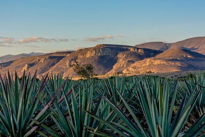 Overnight 2-Day Experience in Beautiful Oaxaca - Staying Overnight in Oaxaca City’s Historic Center