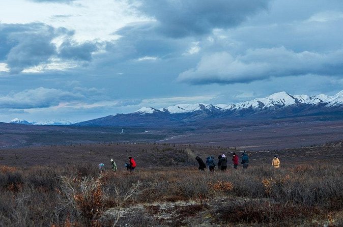 Overnight Denali National Park plus Aurora Chase Tour - Aurora Viewing: Science, Photography, and Surprises