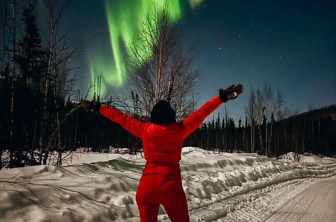 Overnight Denali National Park plus Aurora Chase Tour - Activities During the Day: Snowshoeing, Berry Picking, and More