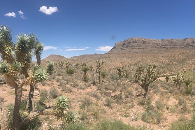 Overnight Grand Canyon West Rim Helicopter Tour from Las Vegas - Included Amenities and Optional Extras