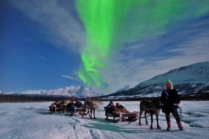Overnight Stay with Reindeer Sledding & Feeding - Aurora Borealis Viewing in a Light-Pollution Free Location