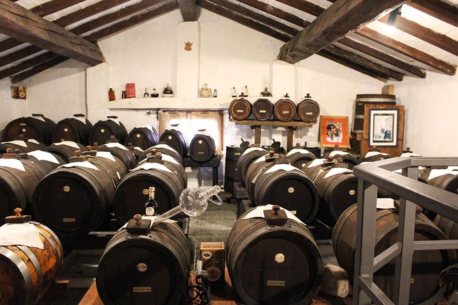 Owner-Led Balsamic Vinegar Tour & Tasting in Vignola, Modena - The Difference Between This Private Tour and Free Alternatives