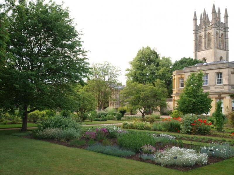 Oxford 3-Hour Private Walking Tour - Discover Oxford’s World-Famous Colleges and Bodleian Library