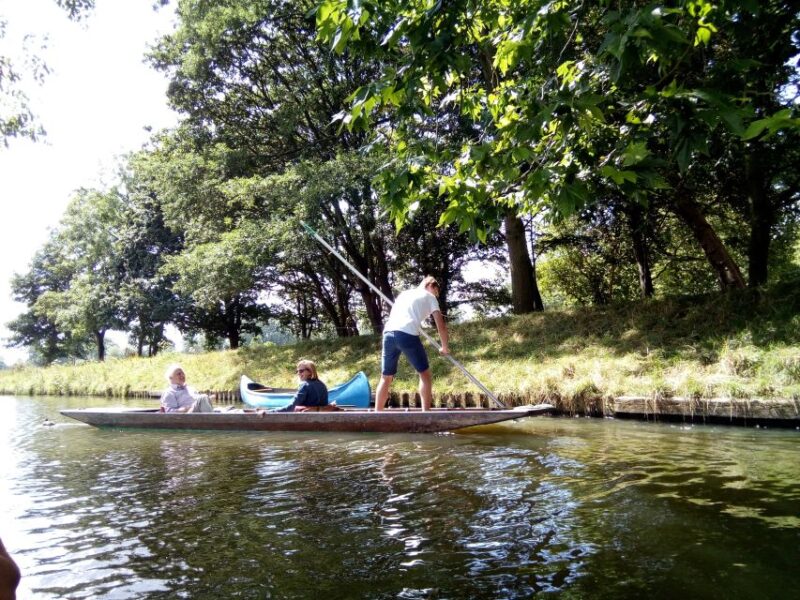 Oxford: Chauffeured Punting River with Optional Walking Tour - The Experience of the Guides and Views