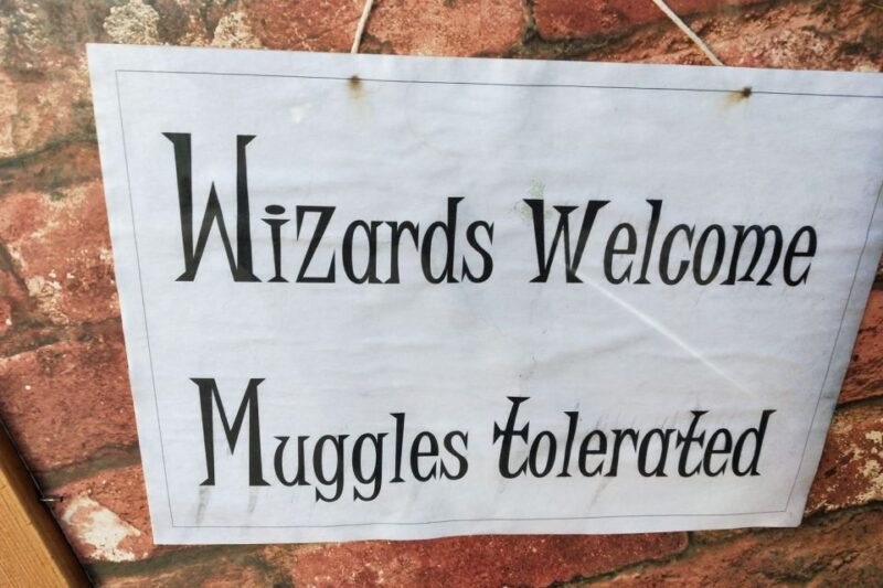 Oxford: Christ Church Harry Potter Film Locations Tour - Who Will Enjoy This Tour Most?