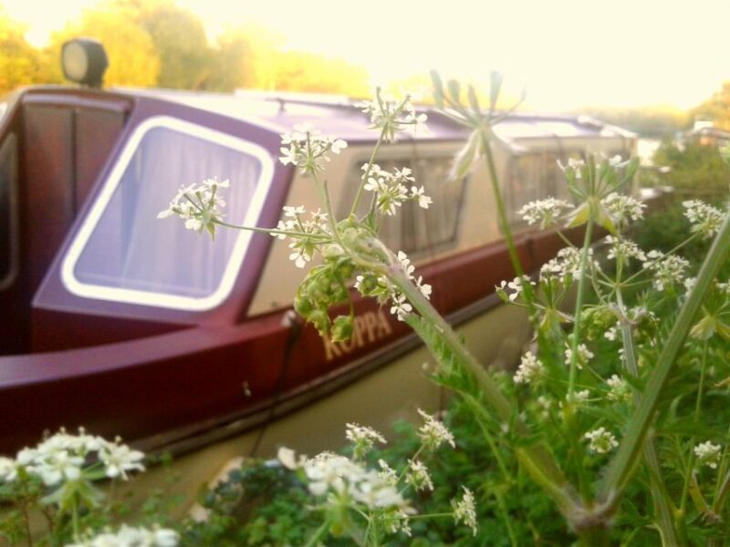 Oxford: River Cruise and Walking Tour to Iffley Village - Logistics and Group Size