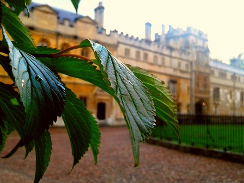 Oxford: Solo Traveller Private Tour - Inside the Harry Potter Film Site at the Bodleian Library