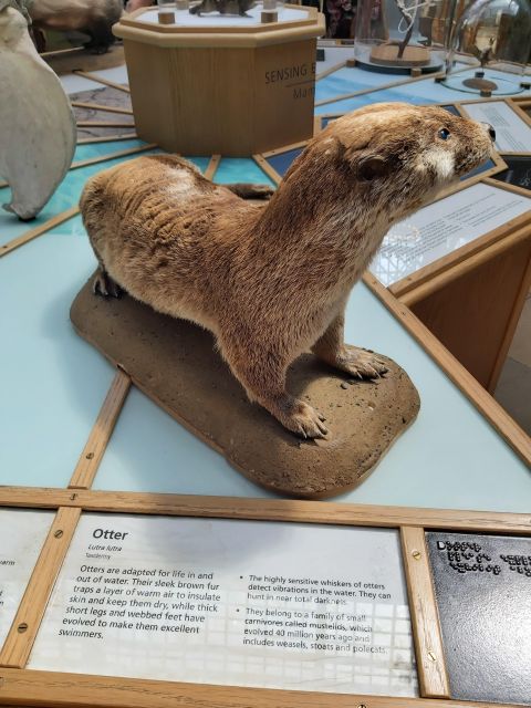 Oxford: Walking Tour - Final Thoughts on the Oxford Walking Tour