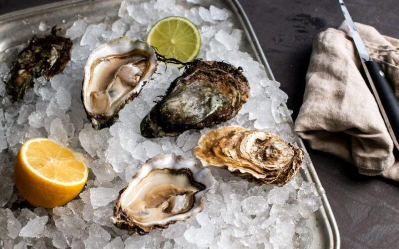 Oyster day in Mali Ston - Practical Details and Included Experiences