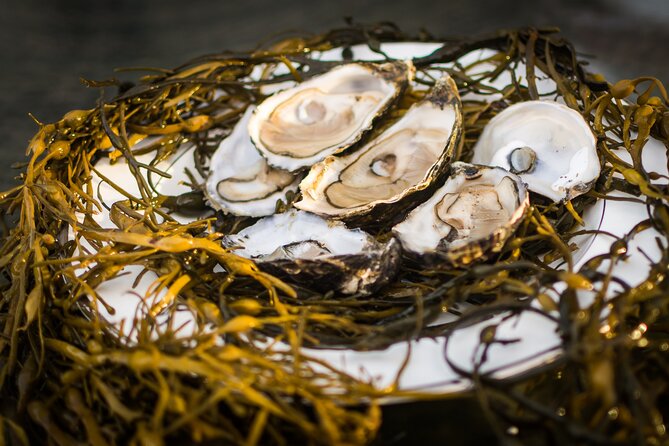 Oyster Farm and Tasting Experience - Tasting the Fresh Oysters and Flavor Profiles
