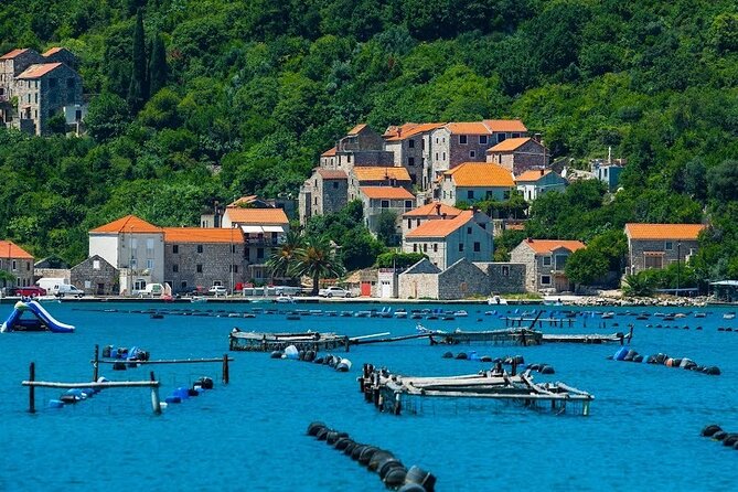 Oyster farm experience private day trip from Dubrovnik - Key Points