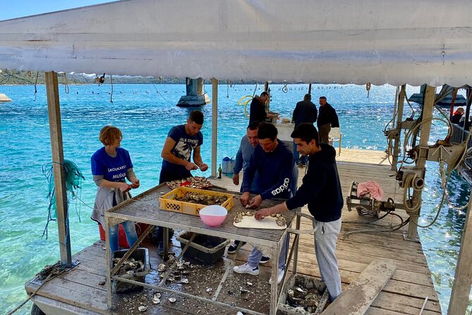 Oyster Farm, Ston and Winery Tour - Guided Wine Tasting with Tapas and Olive Oil Tasting