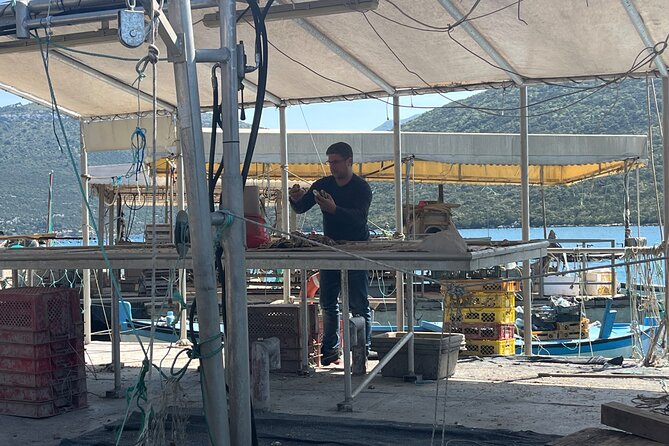 Oyster Farm, Ston and Winery Tour - The Experience Led by an Expert Guide