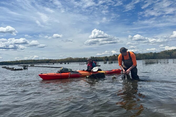 Oyster Tasting and Kayak Tour - Unique Kayaking and Oyster Tasting Experience in New Hampshire