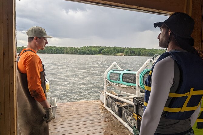 Oyster Tasting and Kayak Tour - The Scenic Setting of Little Bay and Coastal Wildlife