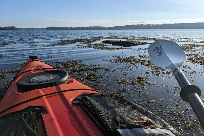 Oyster Tasting and Kayak Tour - Why This Tour Stands Out Among Coastal Activities
