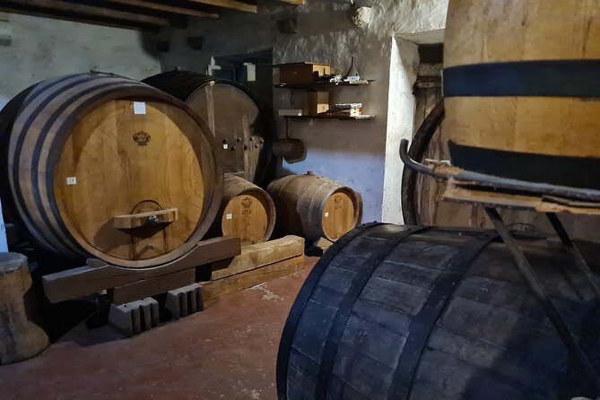 Oysters & Wine Tour From Dubrovnik (Small Group) - Learning About Salt Production at Salt Works