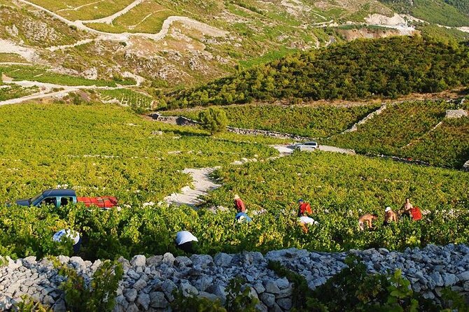 Oysters & Wine Tour From Dubrovnik (Small Group) - Discovering the Charm of Ston and Its Walls