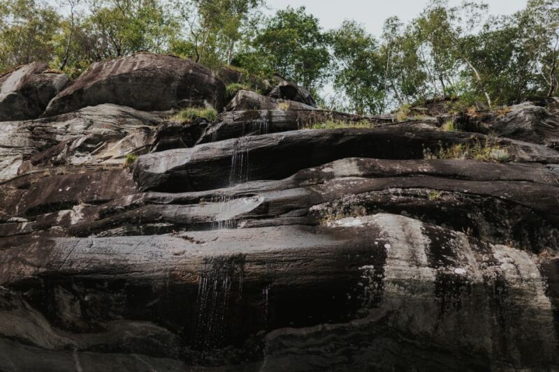 Øystese: Hardangerfjord RIB safari to the Fyksesund branch - Why This Tour Stands Out in Norway