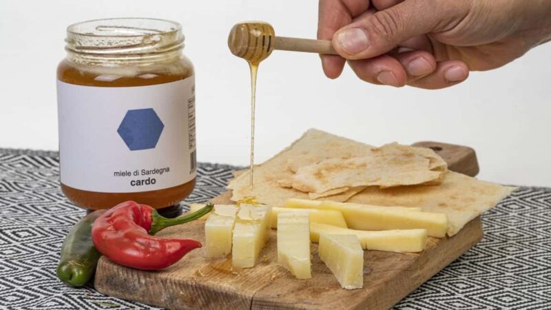 Ozieri: jam tasting in Tula - Collecting Wild Herbs in Sardinian Countryside