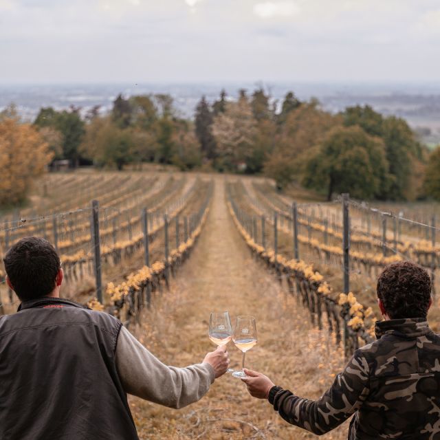 Ozzano Emilia: Guided Cellar Walking Tour with Wine Tasting - Discover the Ozzano Emilia Wine Estate