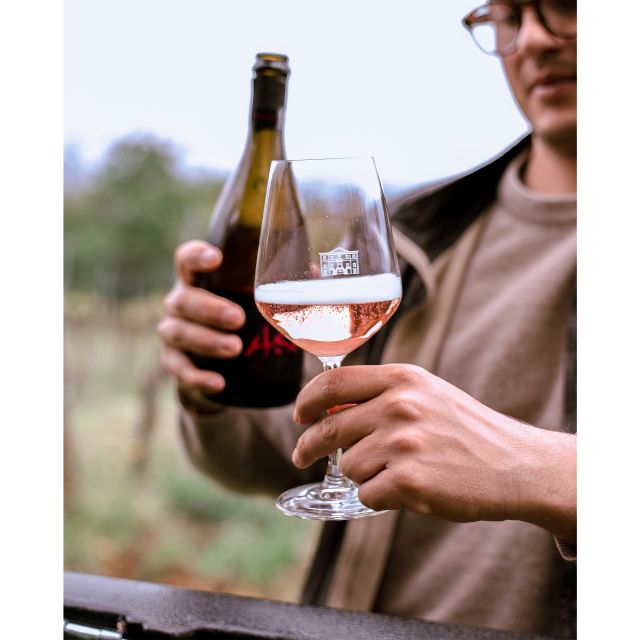 Ozzano Emilia: Guided Cellar Walking Tour with Wine Tasting - Tasting Seven Unique Wines with Regional Charcuterie