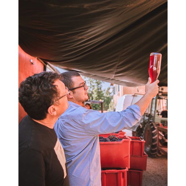 Ozzano Emilia: Guided Cellar Walking Tour with Wine Tasting - Why This Tour Excels: Quality, Authenticity, and Setting