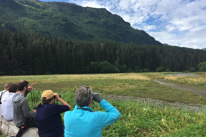 Pack Creek Brown Bear Viewing Juneau - Starting Point and Transportation: From Juneau Hotels and Ports