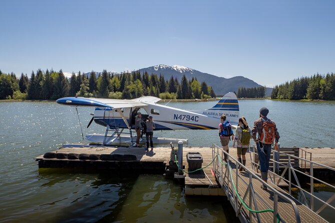 Pack Creek Brown Bear Viewing Juneau - Prime Viewing Spots and Wildlife Observation at Pack Creek