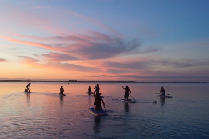 Paddle at Dawn with visit to Cenotes and Islands - Visiting the Bird Sanctuary and Observing Endemic Species