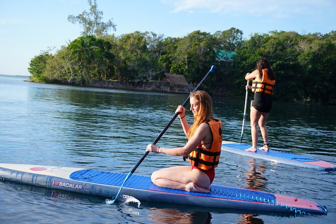 Paddle at Dawn with visit to Cenotes and Islands - The Floating Picnic and Bird Watching Experience