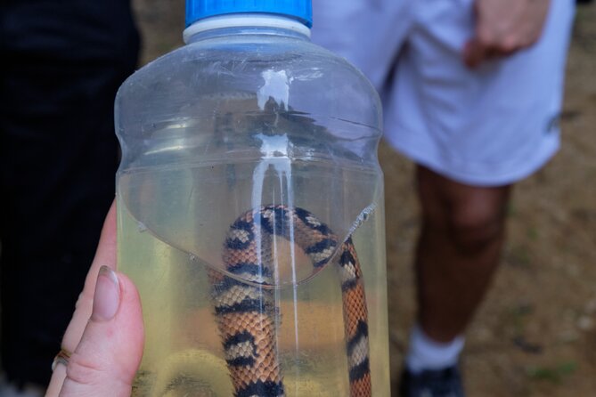 Paddle Board Adventure in a Tropical Paradise - Visiting Remote Waterfalls and Rivers