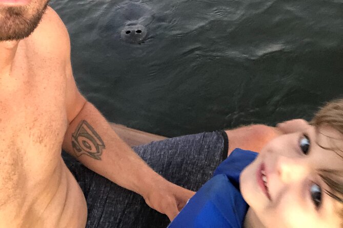 Paddle Board Rental - Experience the Rich Marine Wildlife Along Daytona’s Canals