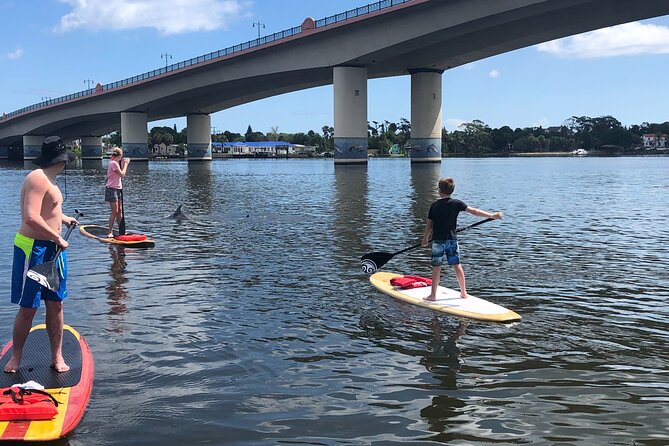 Paddle Board Rental - Customer Service and Experience Highlights