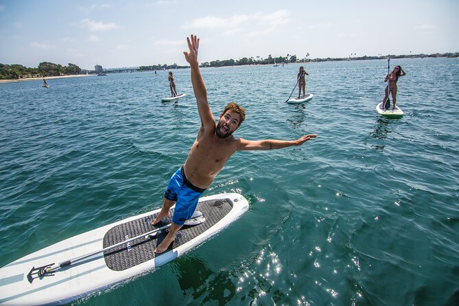 Paddle Surf Board Rental in Valencia - Discover Paddle Surfing in Valencia with High-Quality Equipment