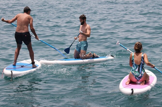 Paddle Surf - Discover the Fun of Paddle Surfing in Tenerife for Just $39.32