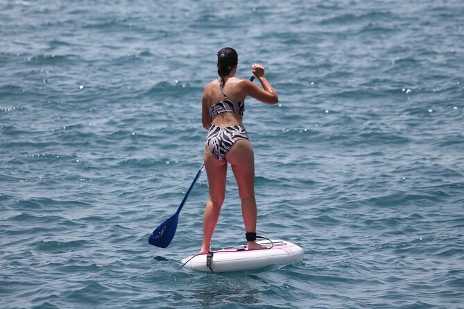 Paddle Surf - Key Points