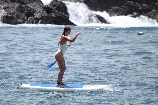 Paddle Surf - The Role of Expert Instructors in Your Paddleboarding Success