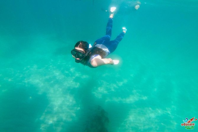 Paddle Surf Route Cliffs Nerja and Cascada de Maro + Snorkel - Who Will Enjoy This Paddle Surf Route