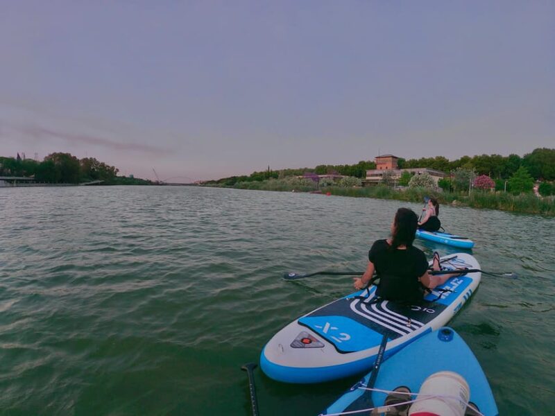 Paddle Surf Tour: Historic Seville, Triana and La Cartuja - Exploring the Guadalquivir: Landmark by Landmark