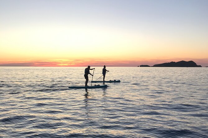 Paddle Surf with Sunset in Ibiza - Snorkeling in the Marine Hotspots