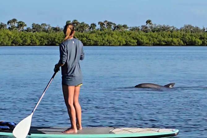 Paddle With Native Wildlife - Explore Daytona Beach’s Waters with Paddle With Native Wildlife