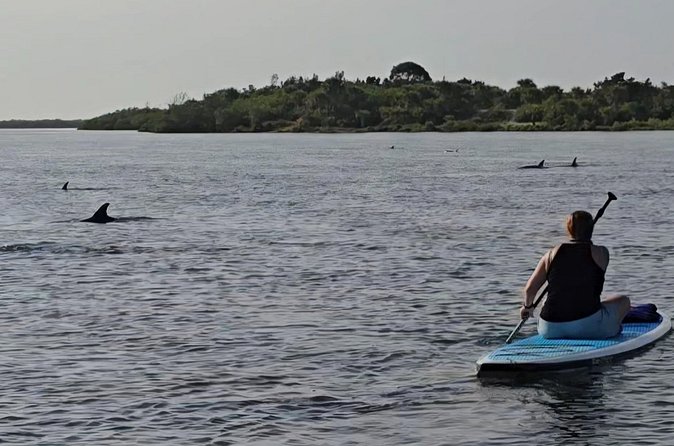 Paddle With Native Wildlife - Accessibility and Service Details