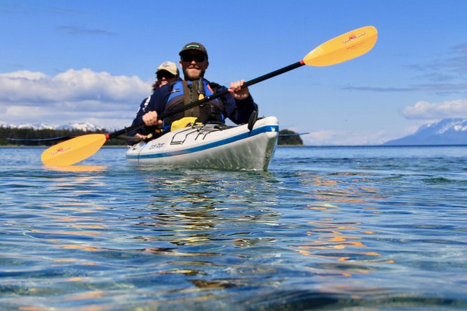 Paddle with Whales Kayak Adventure Juneau - Encountering Humpback Whales Up Close