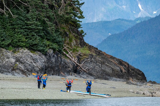 Paddle with Whales Kayak Adventure Juneau - Comparing Similar Juneau Wildlife Tours