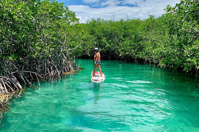 Paddleboard Kayak Tour in Cancun - Cancellation Policy and Weather Considerations