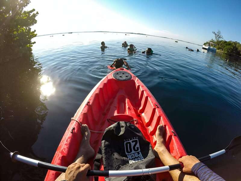 Paddleboard or kayak sunrise tour in Bacalar lagoon - Discover the Magic of Bacalar’s Sunrise Paddleboard or Kayak Tour
