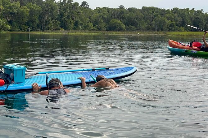 Paddleboard Rental  Three Sisters Springs & Manatee Refuge - Exploring the Hidden Coves of Kings Bay